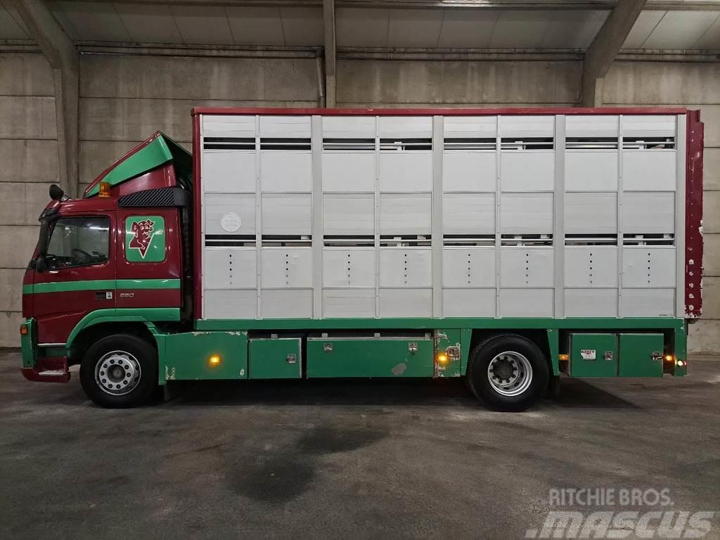 Volvo FM 260 VEEWAGEN Zeer netjes Animal transport trucks