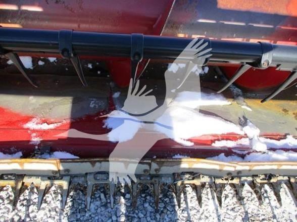 Case IH 1020 Combine harvester heads