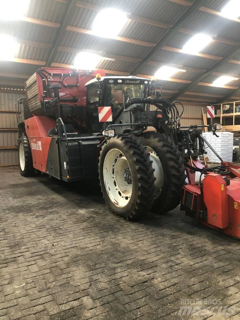 Dewulf RQ 3060 Other vegetable equipment