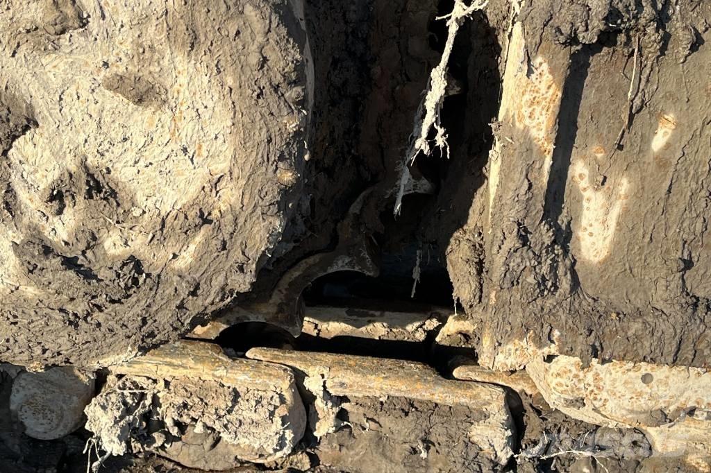 CASE CX 235 C Crawler excavators