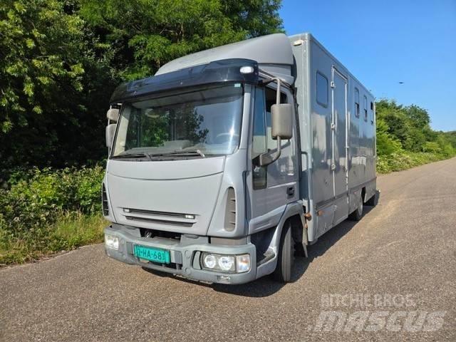 Iveco E 75 Livestock trucks