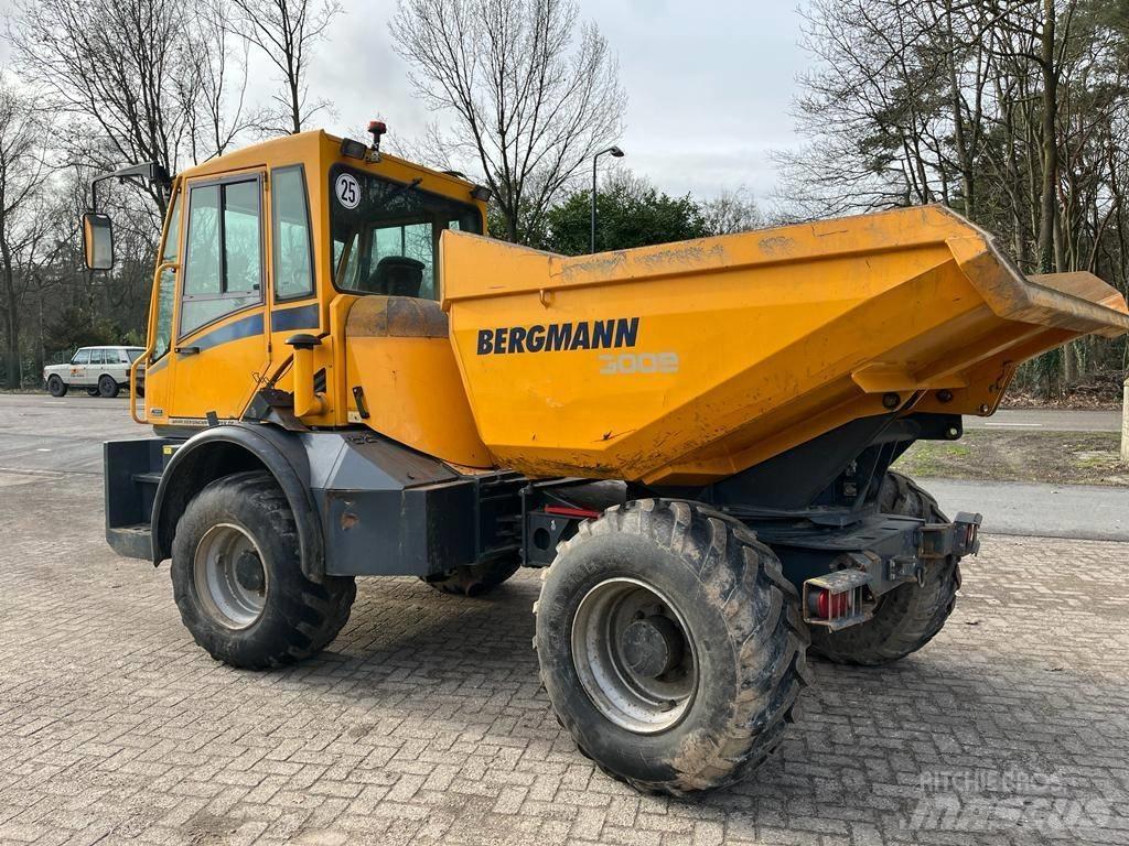 Bergmann 3009 R Articulated Haulers