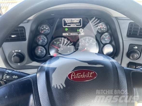 Peterbilt 567 Prime Movers