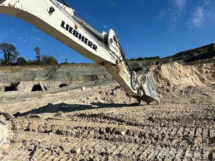 Liebherr R9100 Special excavators