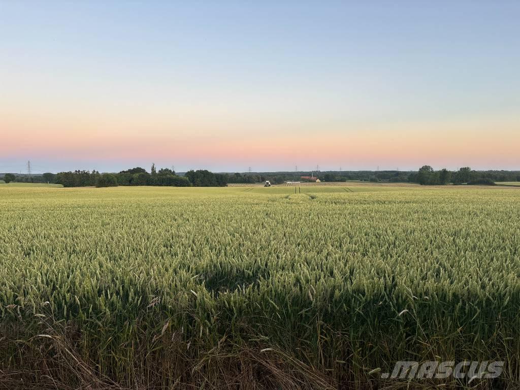 Case IH Maxxum 115 Tractors
