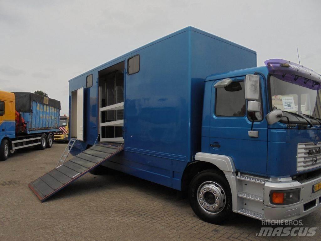 MAN 12 .225 + MANUAL Livestock trucks