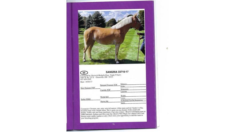  8 YO Chestnut Mare Other livestock machinery and accessories