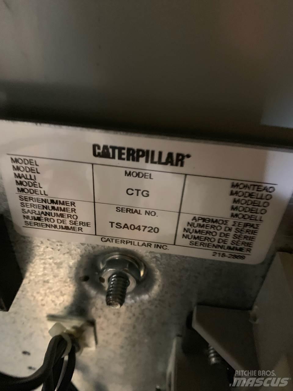 CAT CTG Other