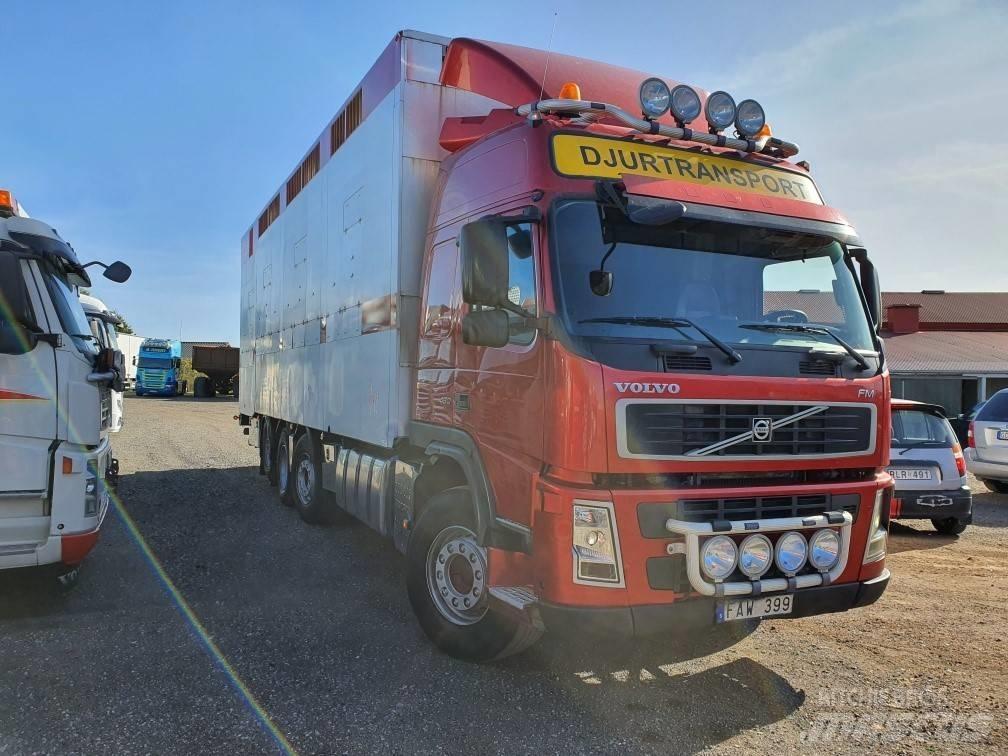 Volvo FM12 Livestock trucks