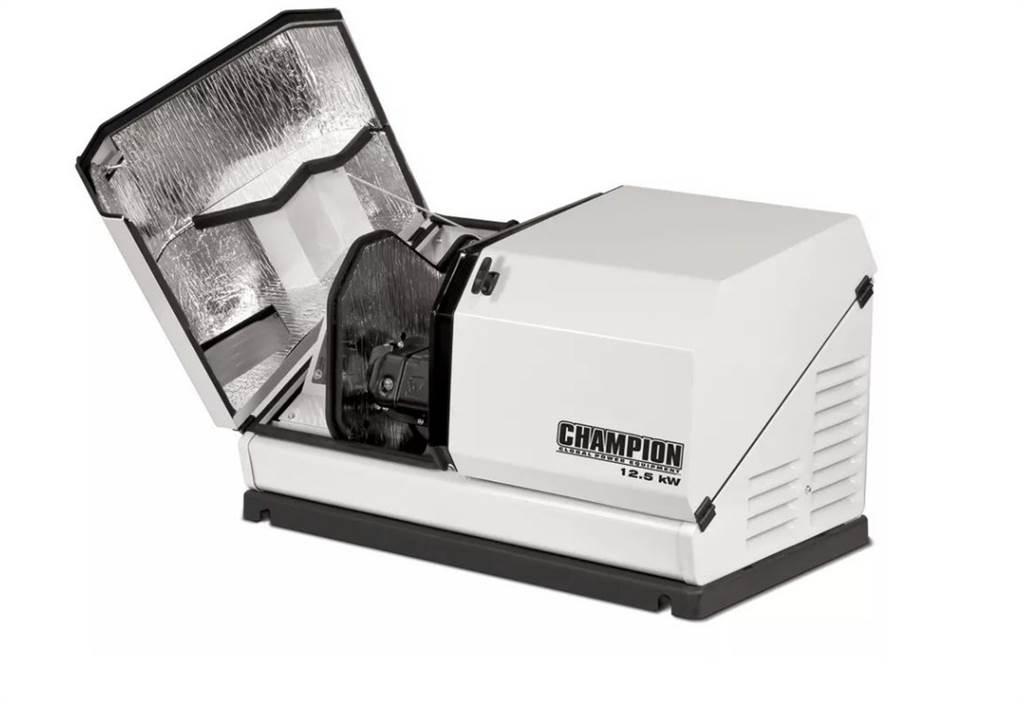 Champion 100838 Diesel Generators