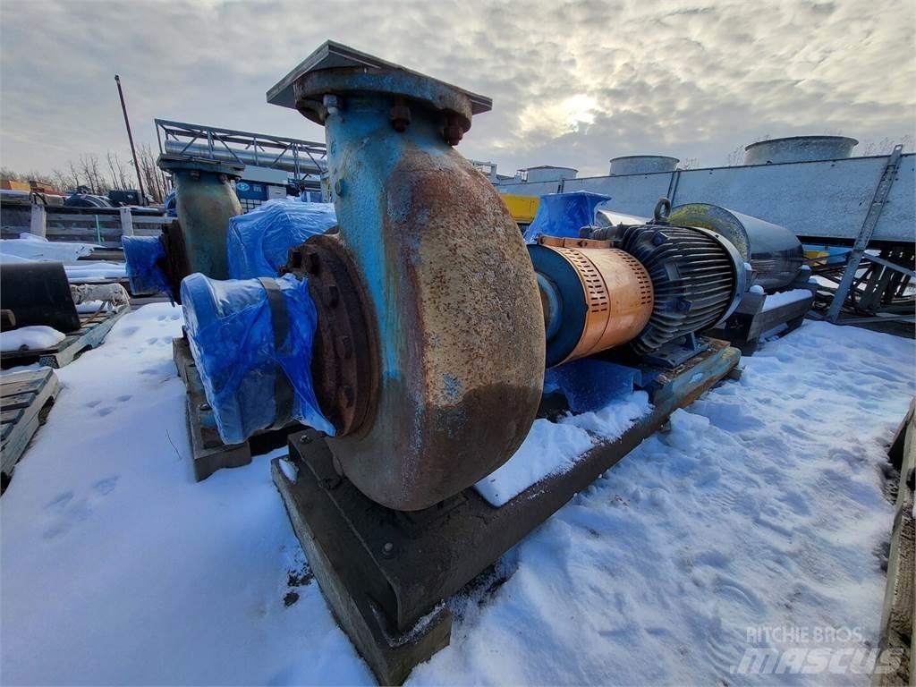  GOULDS 3196 Waterpumps
