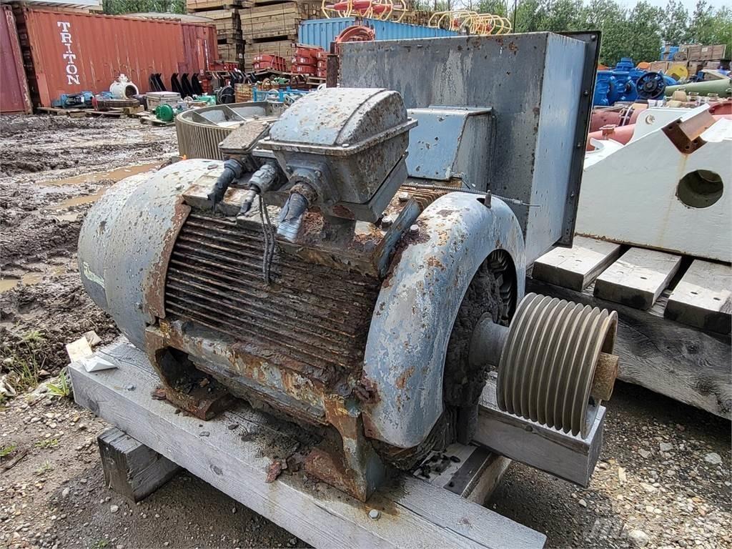  TECO-WESTINGHOUSE Industrial engines