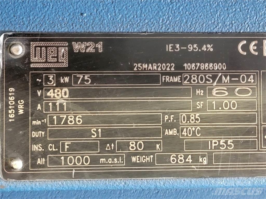  WEG Industrial engines