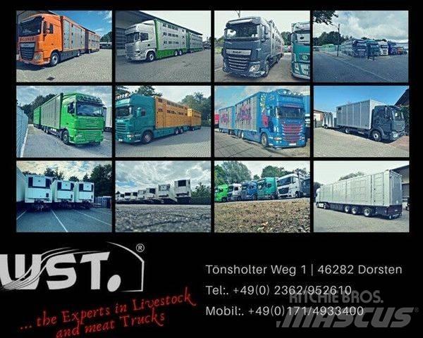 Kässbohrer  Curtainsider trailers