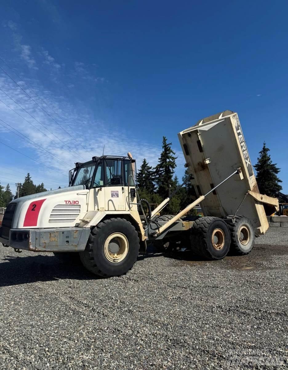 Terex TA30 Panel vans