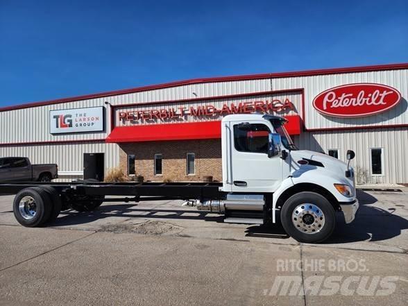 Peterbilt 536 Chassis Cab trucks