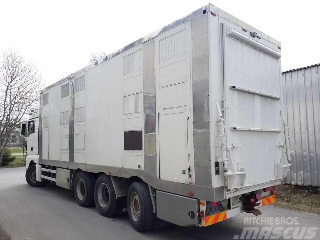 MAN TGX 35.540 8X4 TRIDEM ANIMAL Livestock trucks