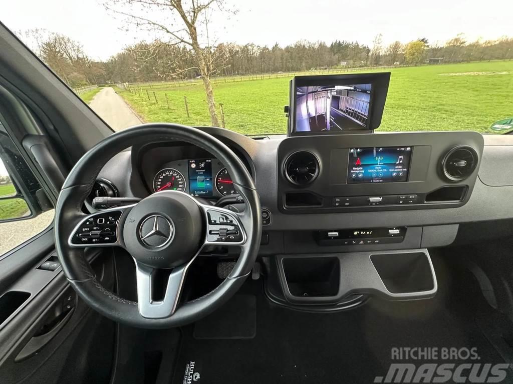 Mercedes-Benz Sprinter AMG 2-paards paardenvrachtwagen B-rijbewi Livestock trucks