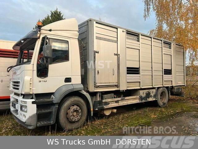 Iveco Stralis 310 Zweistock Fahrerhaus beschädigt Livestock trucks