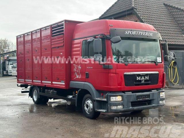 MAN TGL 10.250 4x2 Euro5 1.Stock Westrick Livestock trucks