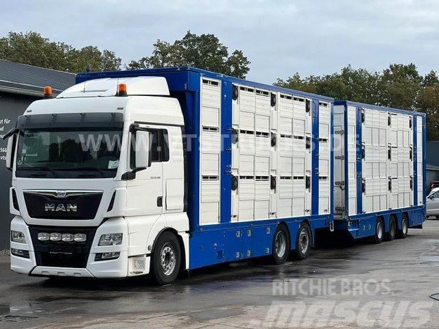 MAN TGX 26.480 6x2 3.Stock FINKL + Tandemanhänger Livestock trucks