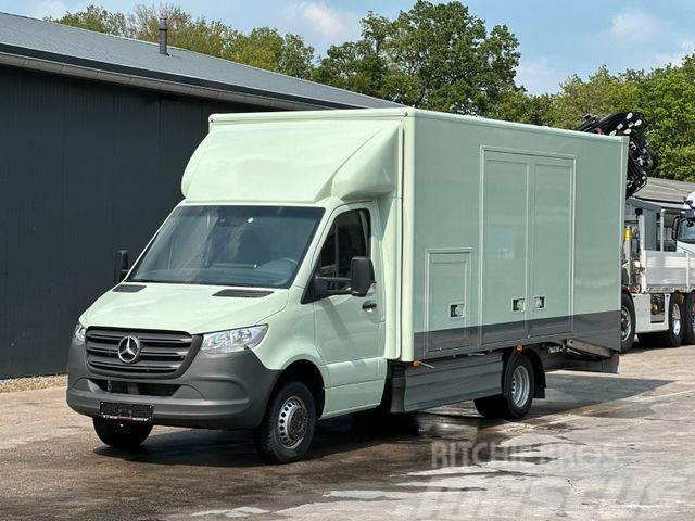 Mercedes-Benz Sprinter 519 CDI CAZOO Sportwagentransporter Transport vehicles