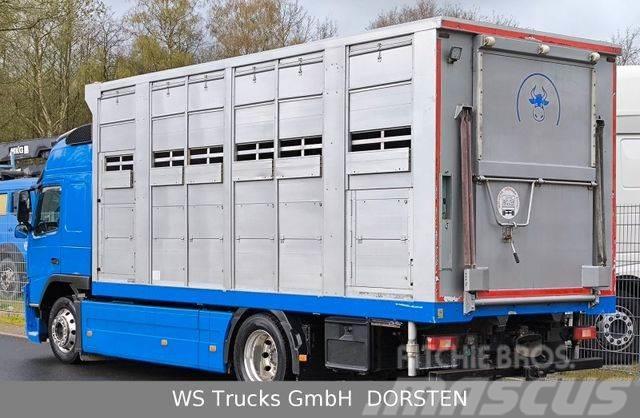 Volvo FM 360 Stehmann 2 Stock Hohe Gitter Livestock trucks